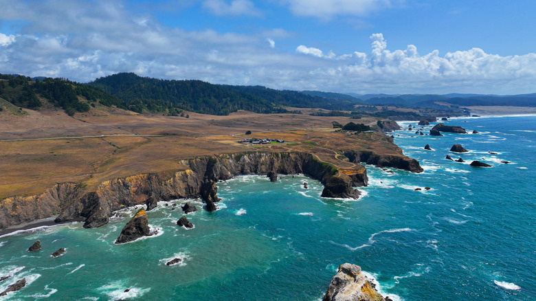 The rugged coastline of Mendocino County with forests behind and the ocean out front