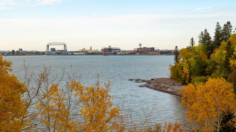 Fall leaves by lake with city and bridge behind