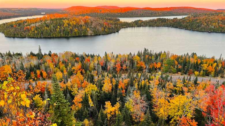 Colorful fall trees around lake