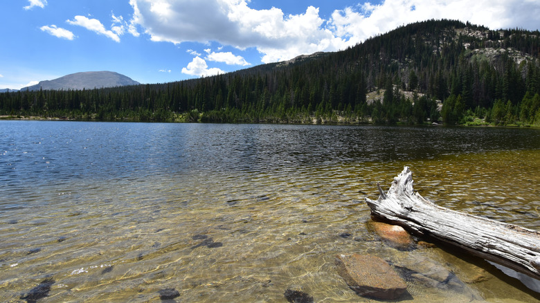 Sandbeach Lake in Colorado with driftwood in the foreground, mountain in the back