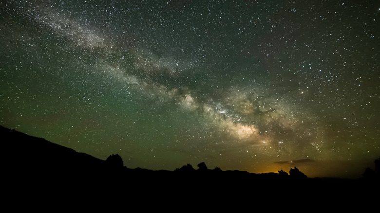 Bright stars in the night sky