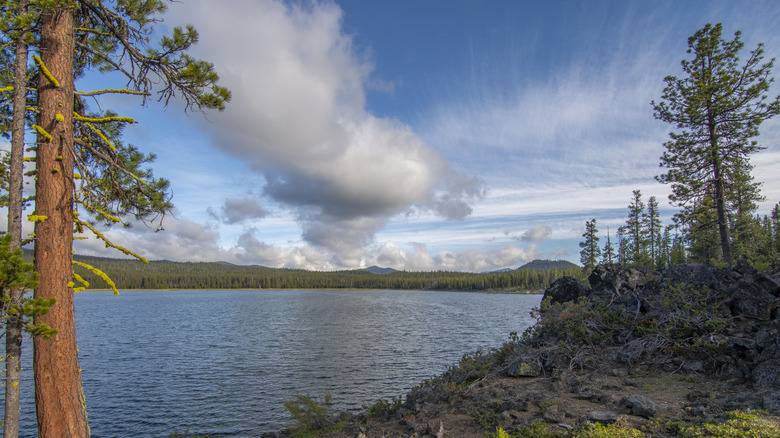 Oregon's Lava Lake in Deschutes National Forest