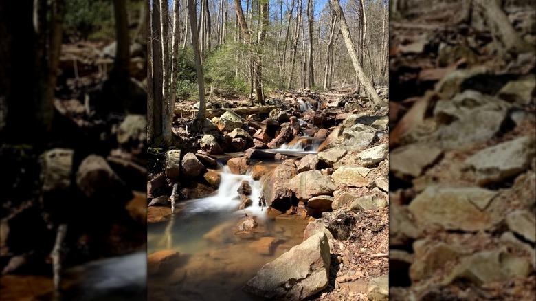 Stream along Stony Valley Rail Trail