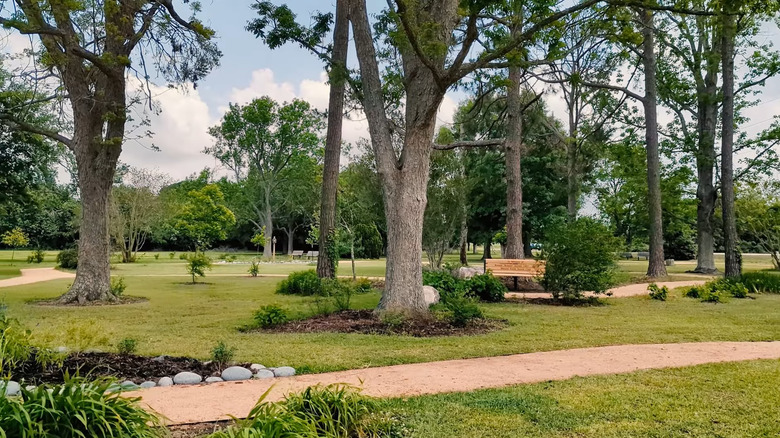 One of Manvel's public parks on a clear day, with benches to sit on and trees providing shade