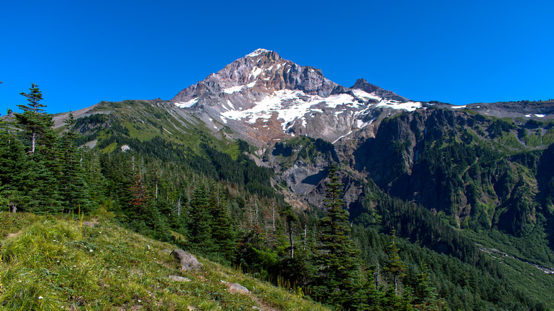 Mt. Hood and the Sandy Glacier in Oregon