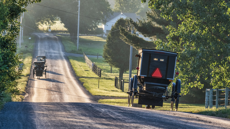 Picture of horses and buggies off the beaten path