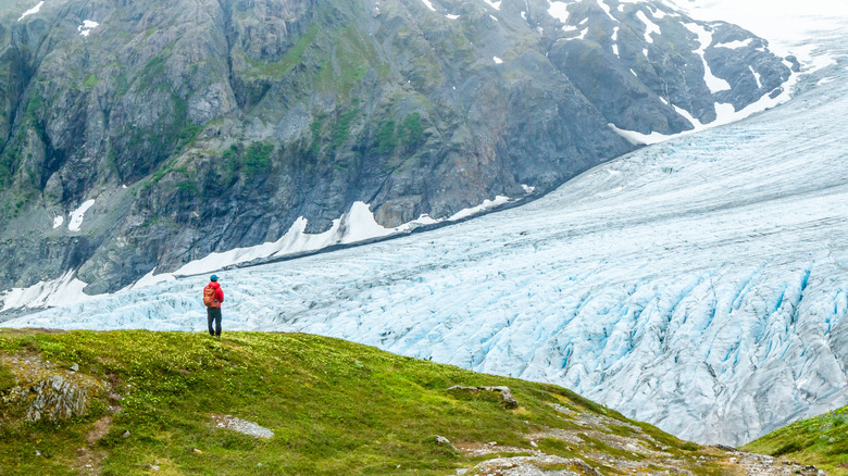 Hiker standing on grass-covered hill overlooking Exit Glacier from the Harding Icefield Trail, Kenai Fjords National Park, Alaska