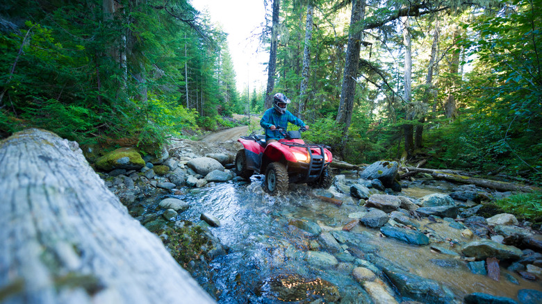 Man driving a red ATV through a rocky stream in a forest
