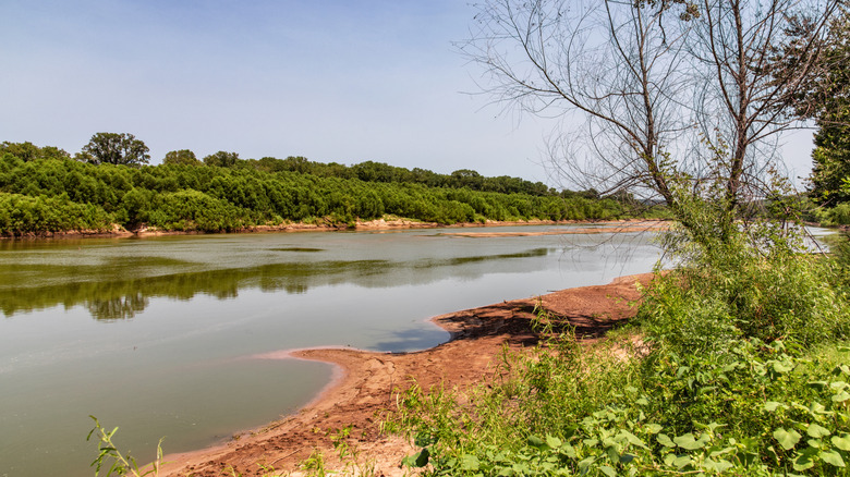 The river banks of the Red River