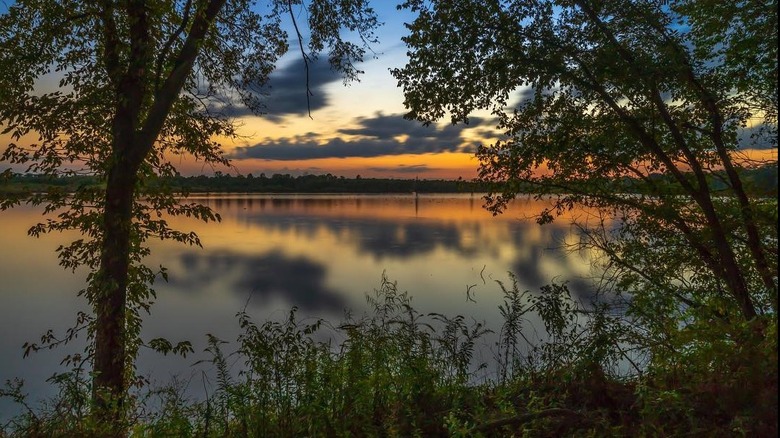 The Red River National Wildlife Refuge at sunset
