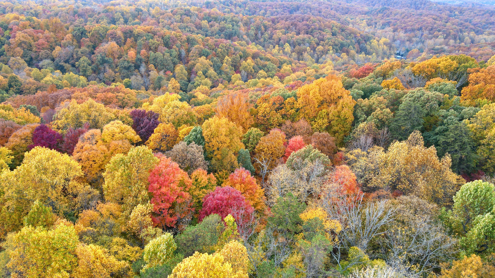 One Of America's Largest Urban Forests Is An Outdoor Paradise Sandwiched Between Louisville And Fort Knox