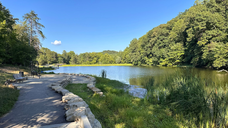 View of Tom Wallace Lake surrounded by green woods on a sunny day, with a stone path along the bank