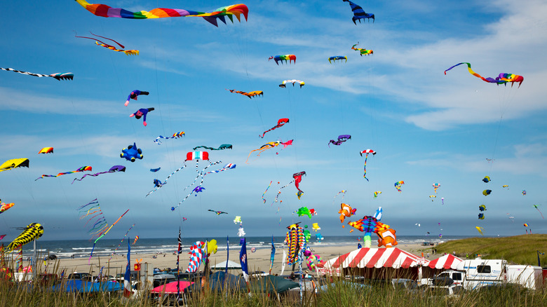 Many kites in the air along the beach at the Washington State International Kite Festival