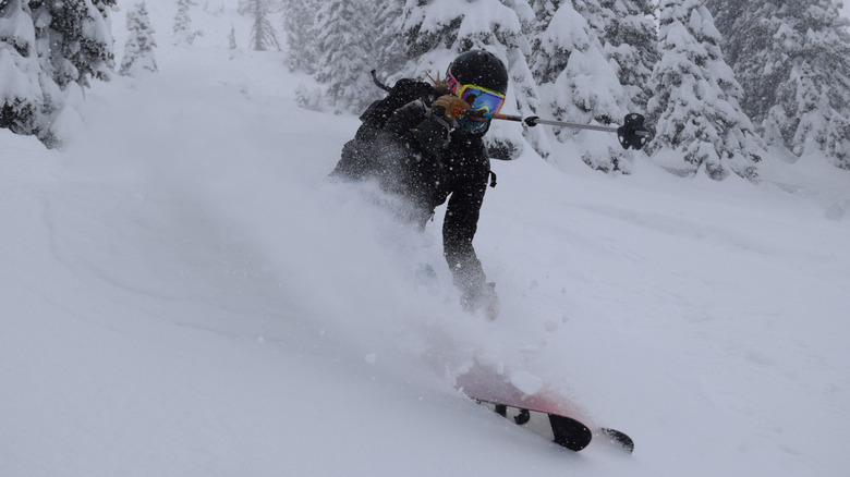Skiier going down the slopes at Bridger Bowl in Montana