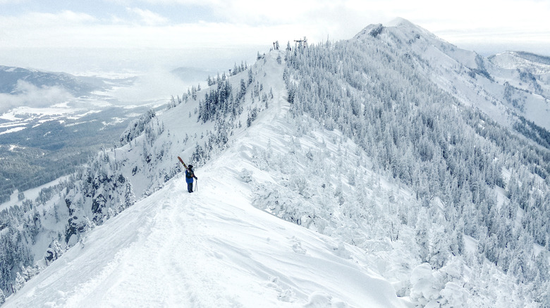 Skier hiking across the ridge at Bridger Bowl in Montana