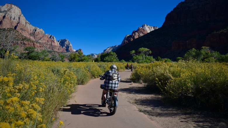 Motorcyclists driving along spring flowers in high-altitude pastures above Kolob Reservoir