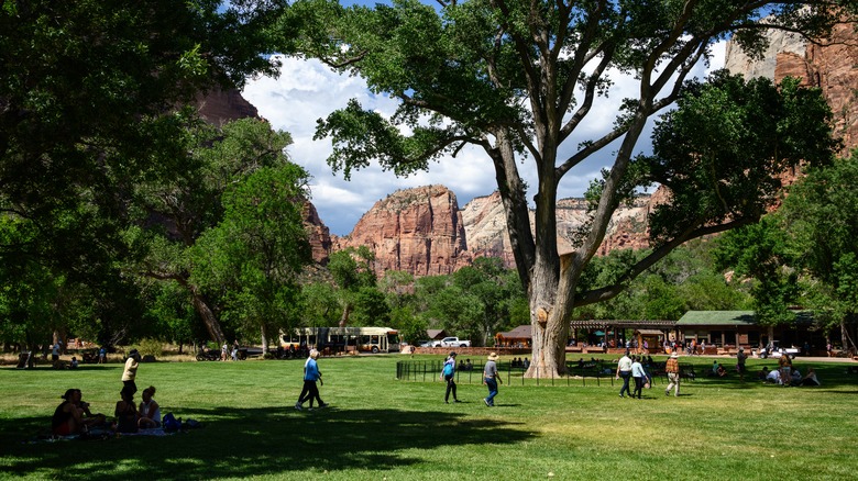 Tourists in large grass open area in front of Zion lodge