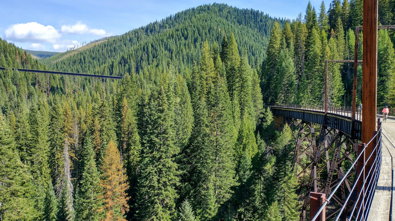 A curved section of the Route of the Hiawatha
