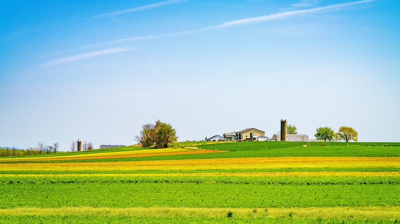 a traditional Amish home in Pennsylvania's Dutch Country