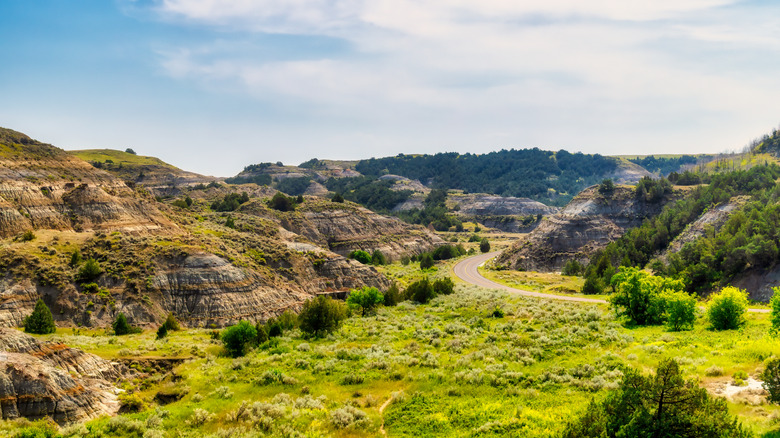 A road through a canyon and prairie