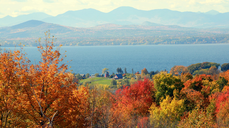 Lake Champlain surrounded by autumn leaves with mountains in the background