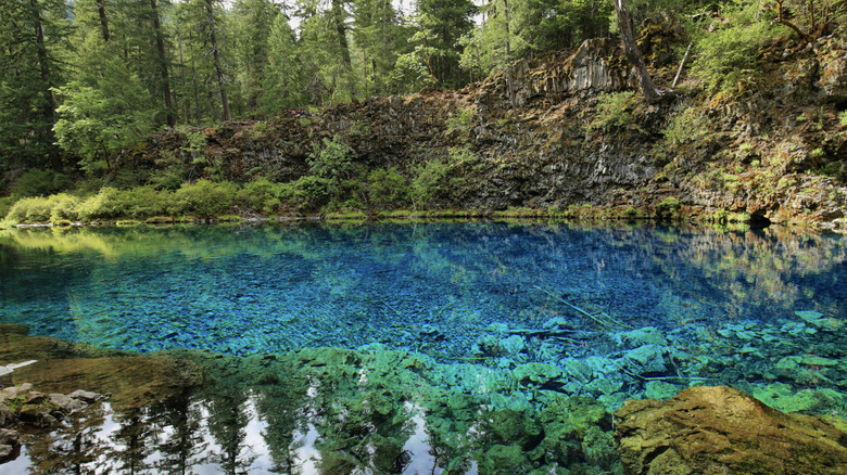 Trees surround and reflect on turquoise water