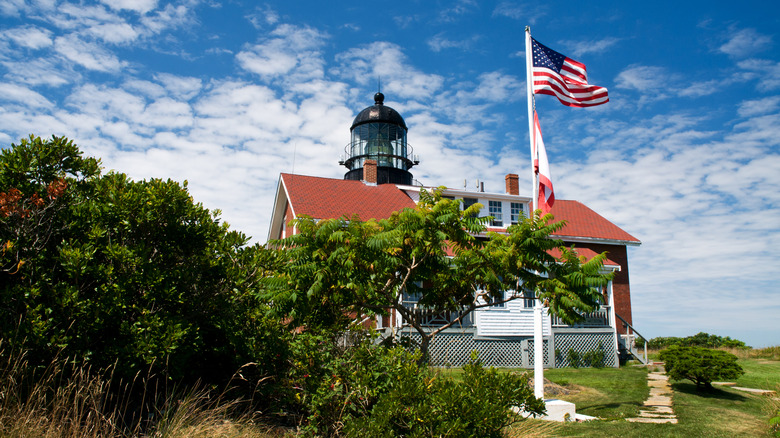 Seguin Island Lighthouse on a sunny day with foliage in the foreground