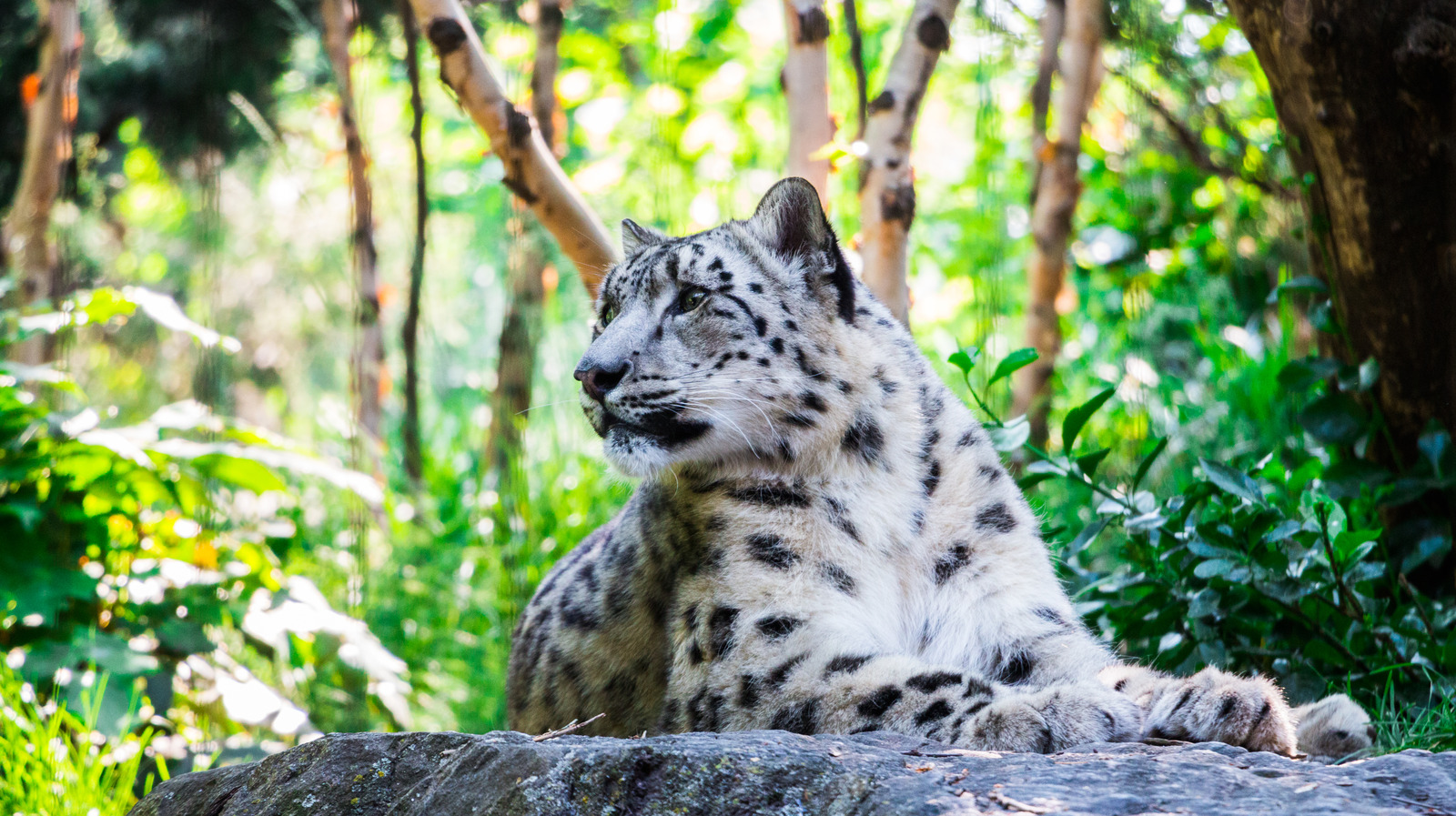 One Of America's Oldest Zoos Is An UnderTheRadar Gem In A Scenic New