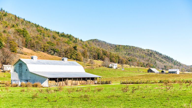 Rural farms in Green Bank, West Virginia