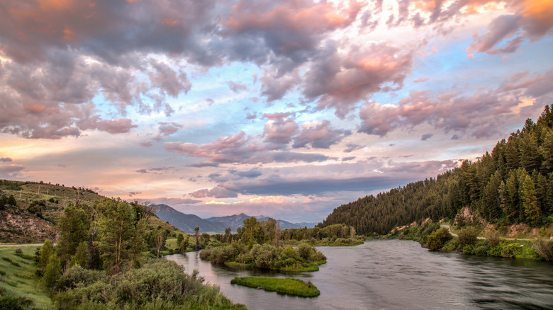 Snake River running through the green forests and hills of Swan Valley, Idaho