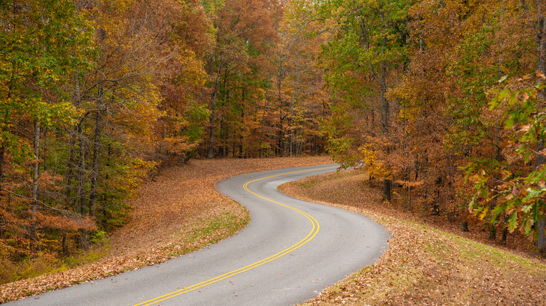 Natchez Trace Parkway Trail