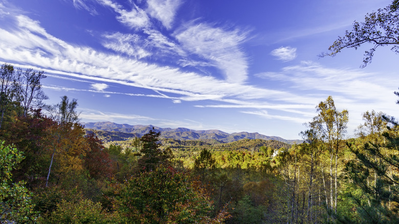 A view of the Appalachians in North Carolina in autumn