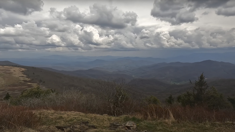 A view from Big Bald Mountain