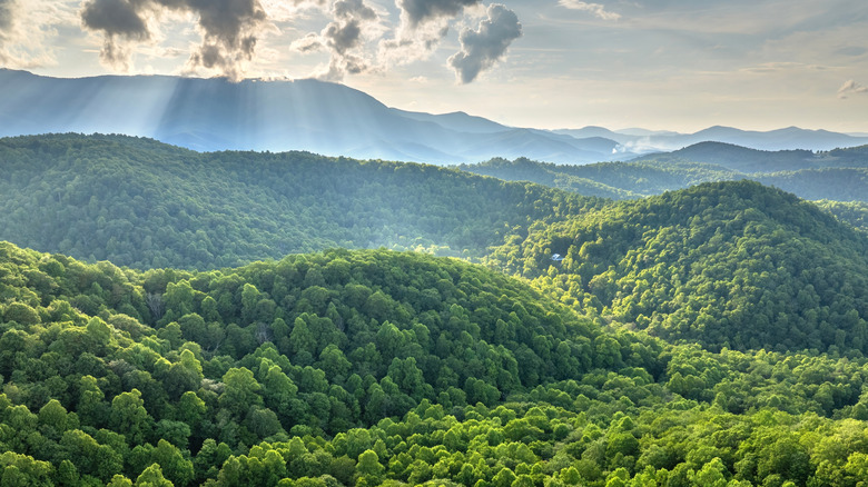 A view of the Appalachian mountains, specifically the Blue Ridge Mountains