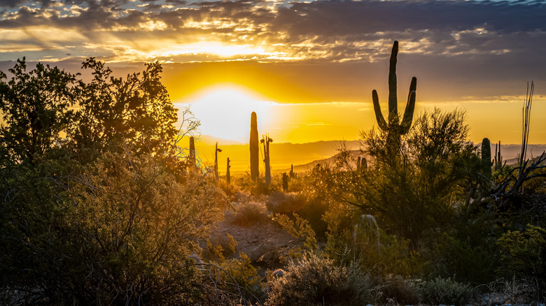 Sunset over a desert in San Tan Valley, Arizona