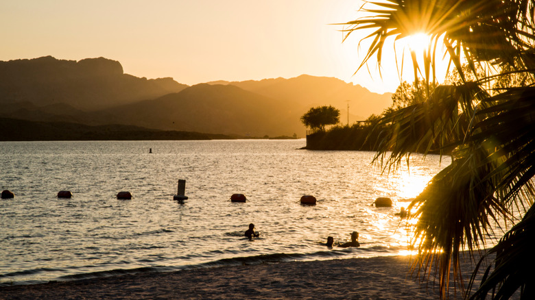 People swimming at Cattail Cove State Park