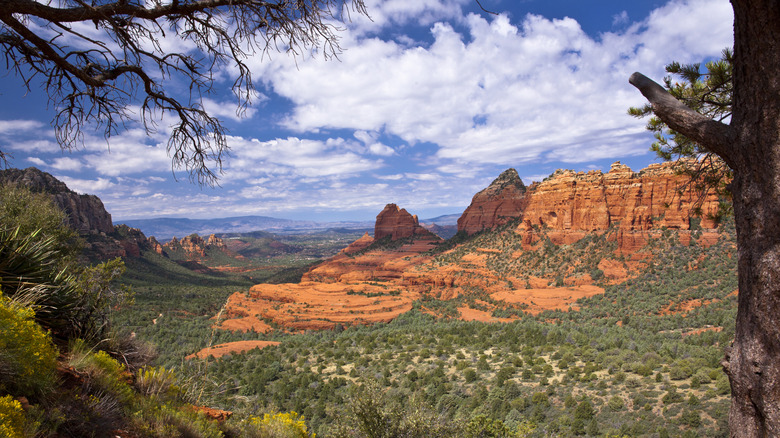A view of Sedona's red rock cliffs