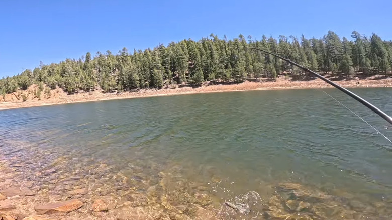 Fish on the line in Knoll Lake, Arizona
