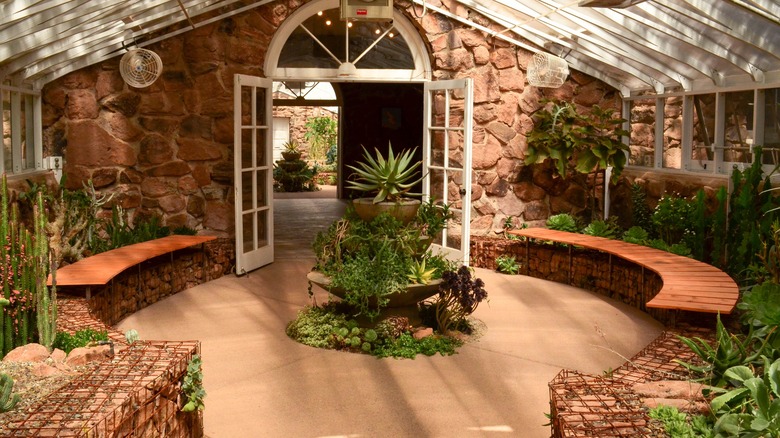 View inside a greenhouse at Boyce Thompson Arboretum