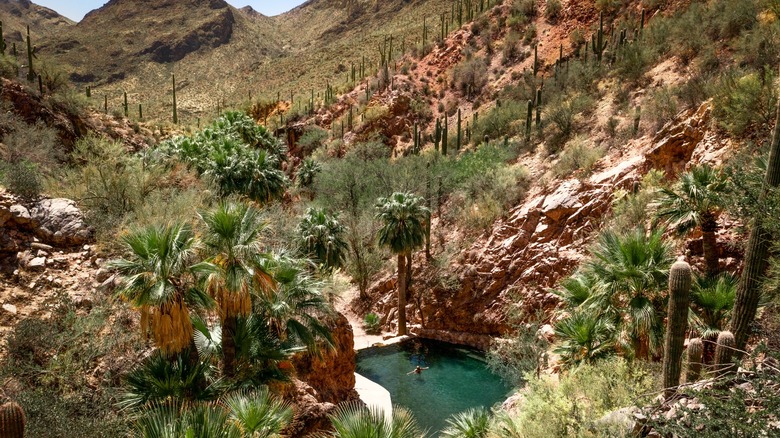 Secluded natural thermal pool at Castle Hot Springs