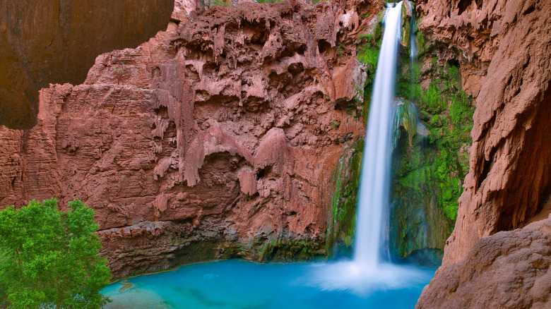 Mooney Falls flowing over maroon sandstone cliffs