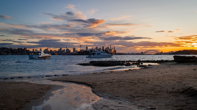 Milk Beach facing Sydney's skyline as the sun sets