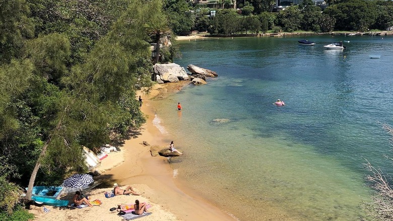 People sunbathing and swimming in Milk Beach, Australia