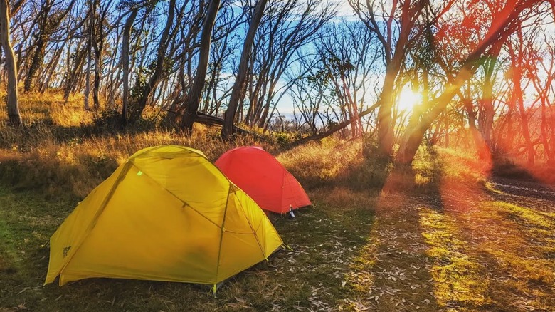 Camping in Namadgi National Park
