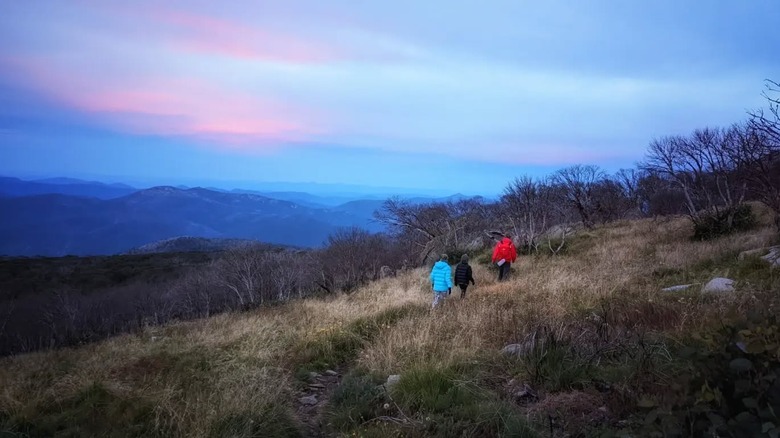 Hiking on a trail in Namadgi National Park