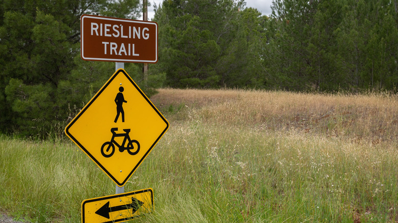 Riesling Trail in Clare Valley