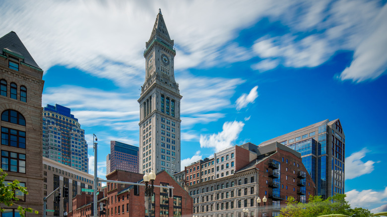 The Custom House Clock Tower shown behind buildings
