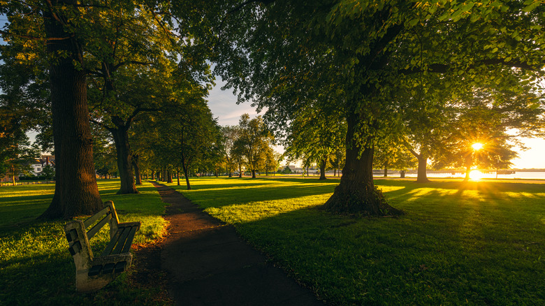 A lovely summer morning at a park in Bridgeport, Connecticut