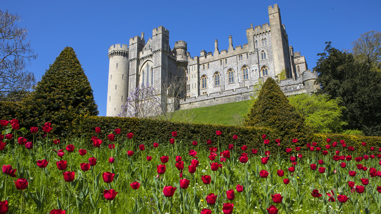 Arundel Castle a field of flowers