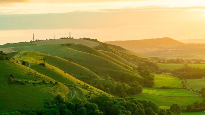 A hillside in The South Downs country park